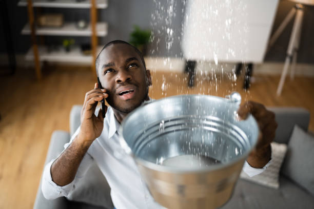 Best Ceiling water damage repair  in , IA