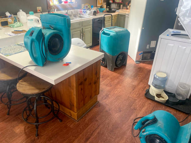 Best Ceiling water damage repair  in , IA