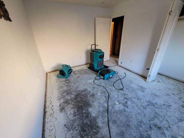 Best Flood damage cleanup  in , IA