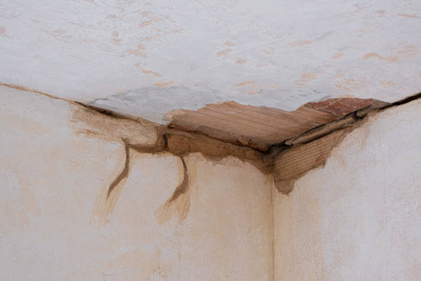Best Water damage repair service  in , IA