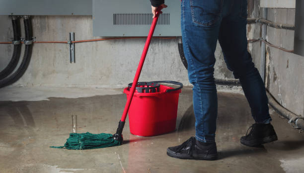 Best Sewage cleanup and water damage restoration  in , IA