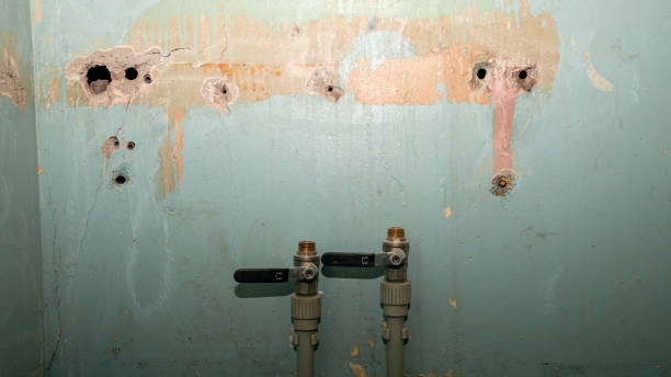 Best Water damage restoration cost  in , IA