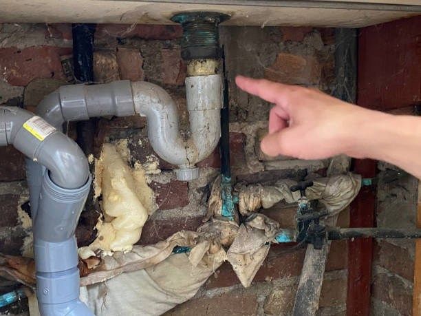 Best Emergency water extraction  in , IA