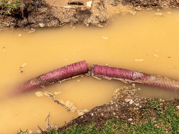 Best Water damage cleanup near me  in , IA